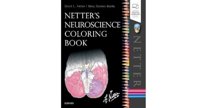 Netters coloring book neuroscience second edition