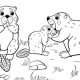 Coloring sheets animals printable