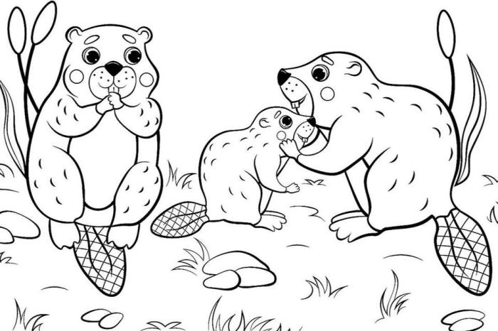 Coloring sheets animals printable