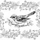 Bird coloring book pages