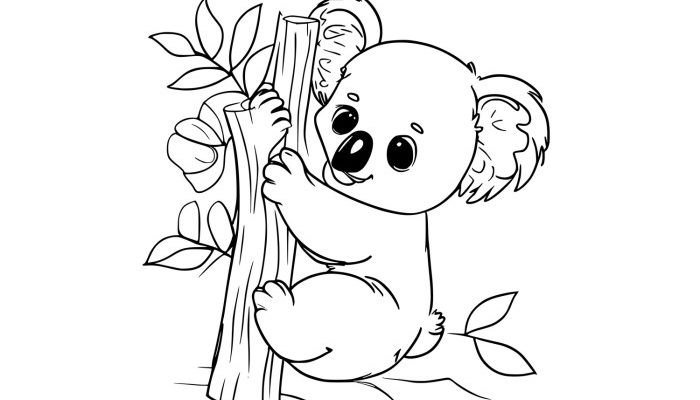 Animated Baby Koalas Coloring Pages