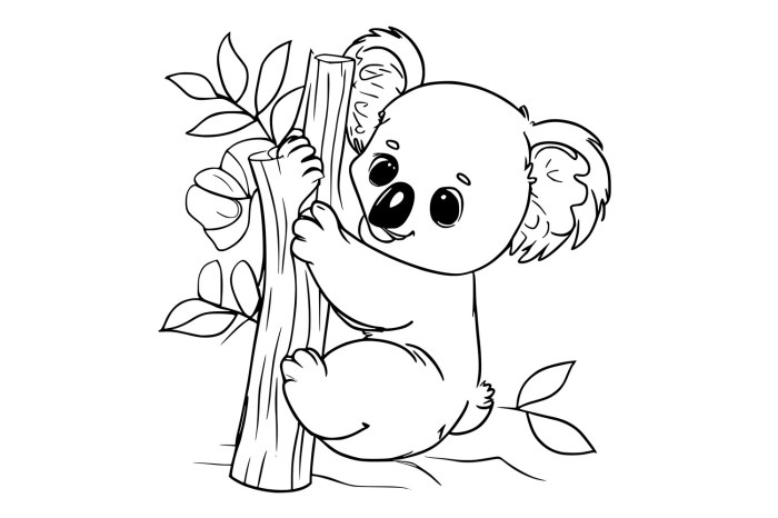 Animated baby koalas coloring pages