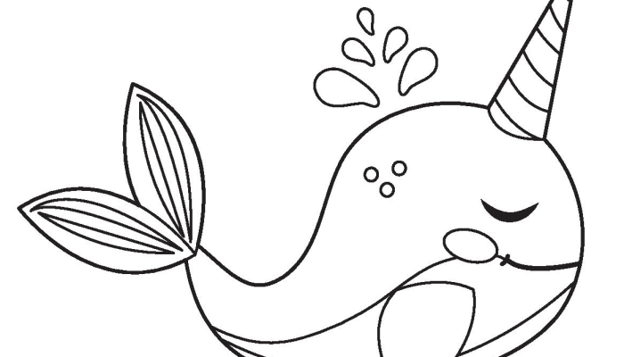 Coloring Pages Animals Narwhale Fun Arctic Adventures