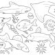 Birds fish and animals coloring pages