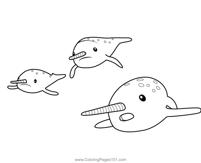 Coloring pages narwhal narwhals bing color printable saved