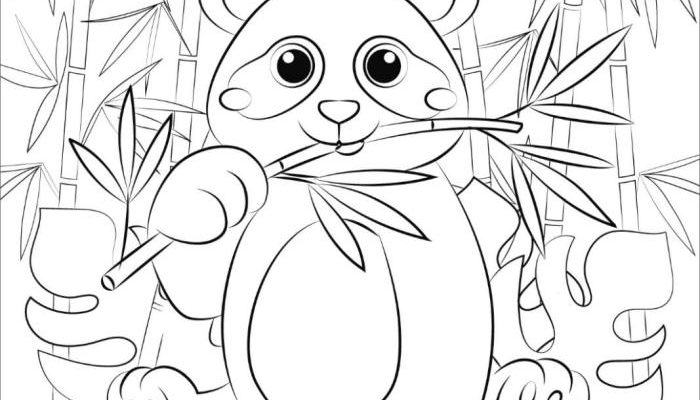 Panda Bear Coloring Book A Creative Journey