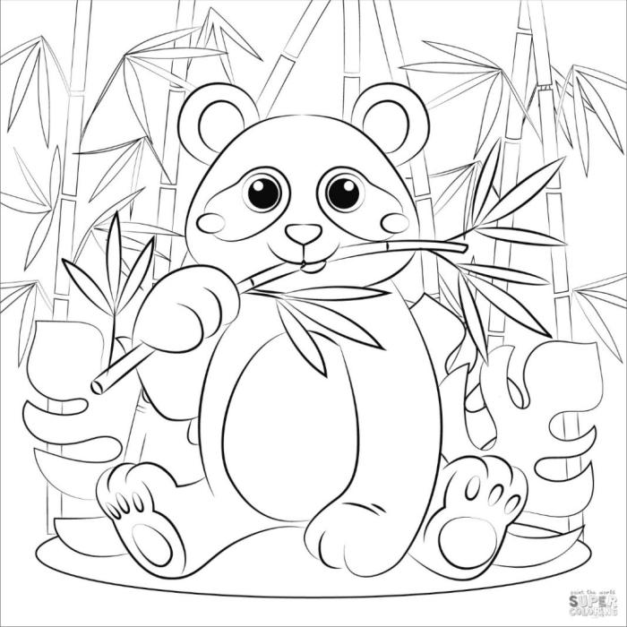 Panda bear coloring book