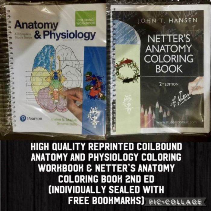 Netters coloring book neuroscience second edition