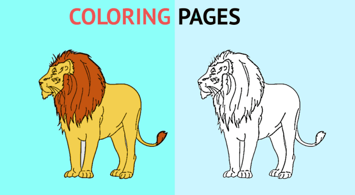 Photos to coloring book pages