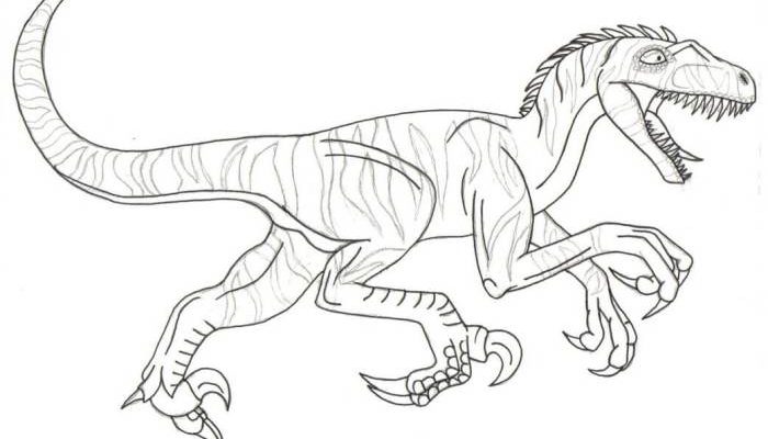 Animated Velasa Raptor Dinosaur Coloring Pages