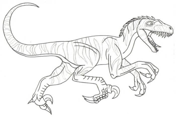 Animated velasa raptor dinosaur coloring pages