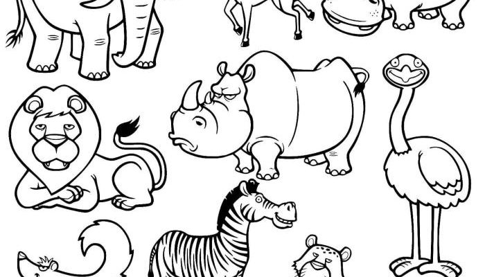 Coloring Pages of Real Wild Animals