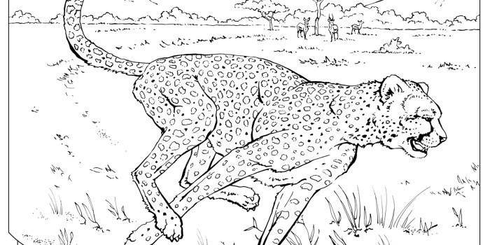 Animal coloring pages webspec sites