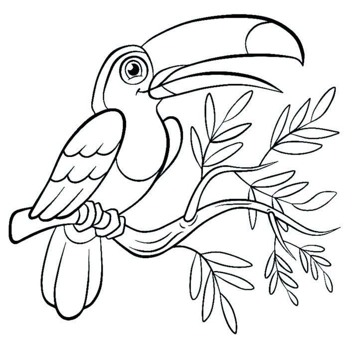 Bird coloring book pages