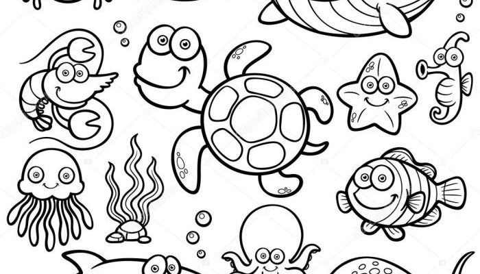 Coloring Sheet Sea Animals Dive In!