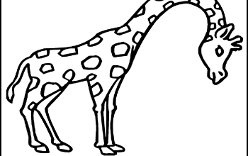 Free coloring pages animals no downloads