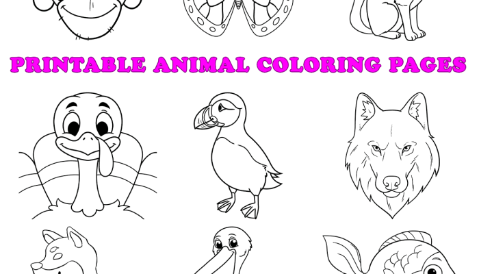 Coloring Pages for Kids Animals Free