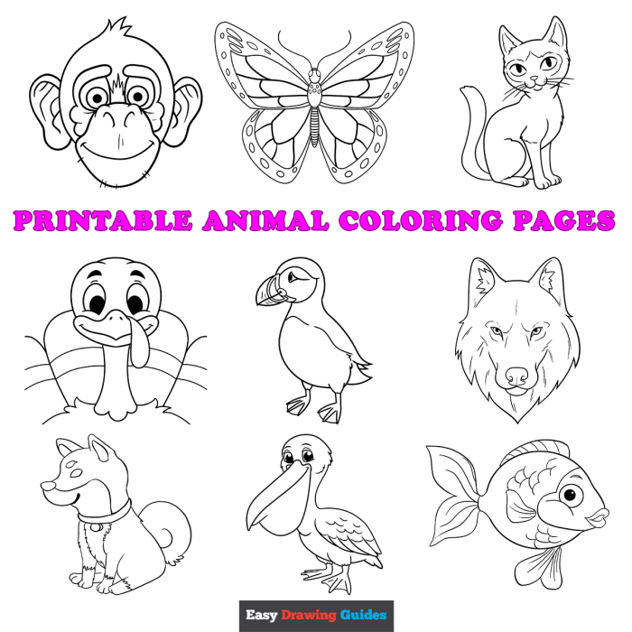 Coloring sheets with animals