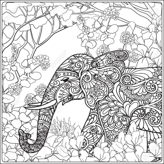 Enchanted forest coloring book