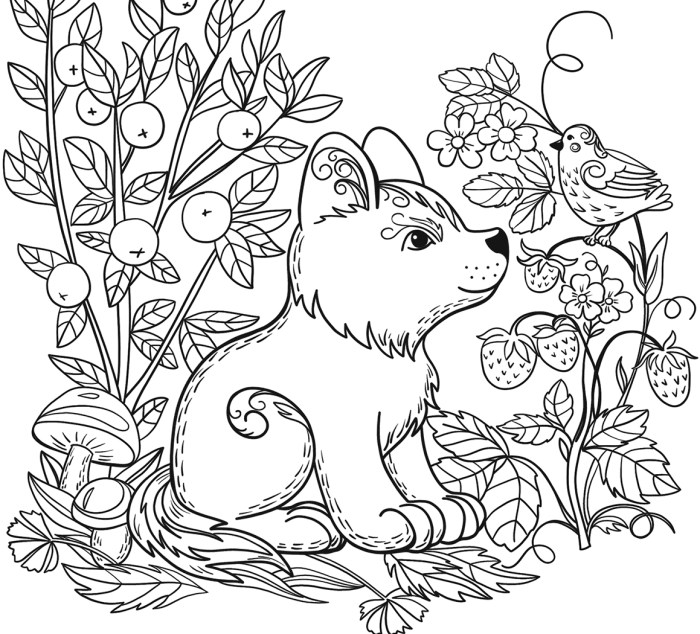 Coloring book pages of animals