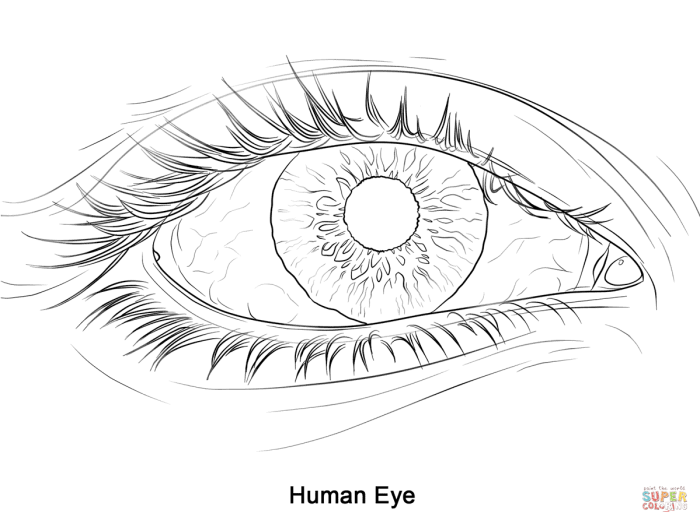 Anime eye coloring pages coloring pages