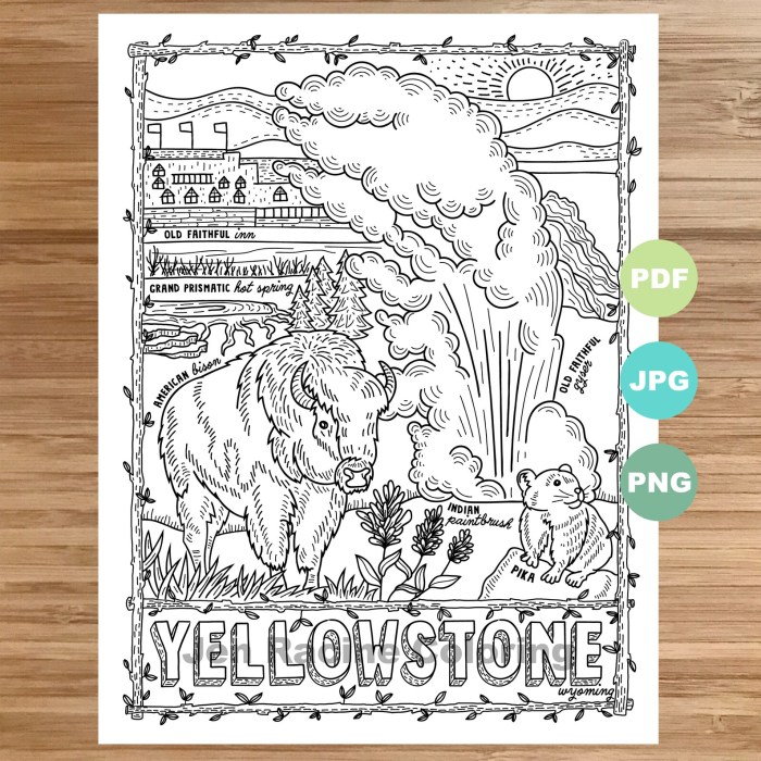 Coco wyo coloring book