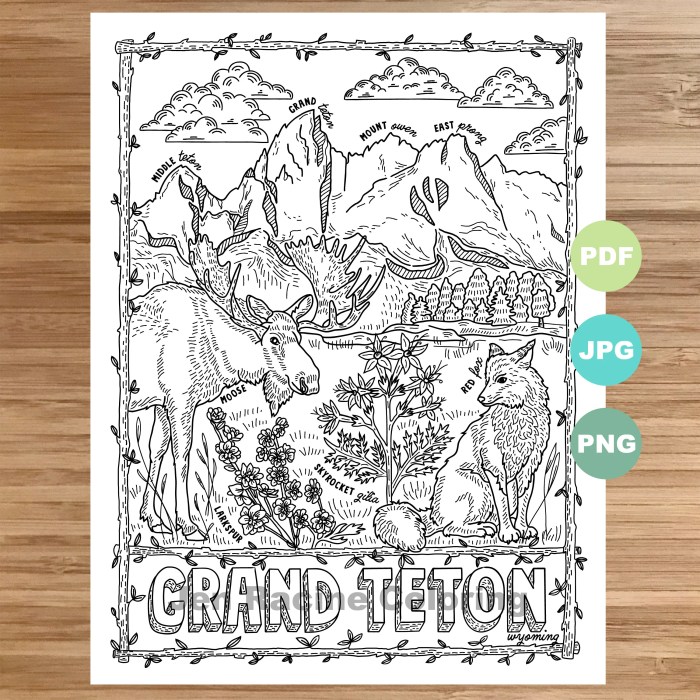 Coco wyo coloring book