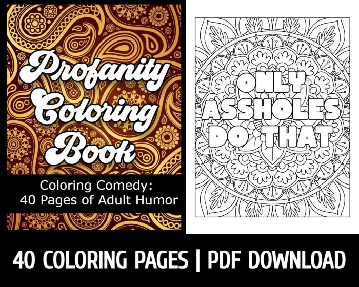 Swear words coloring book