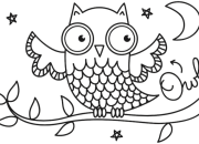 Nocturnal Animals Coloring Sheet A Fun & Educational Activity