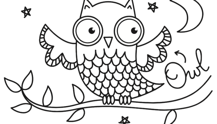 Nocturnal Animals Coloring Sheet A Fun & Educational Activity