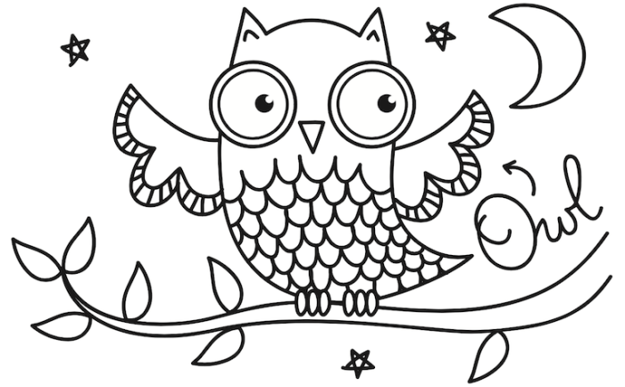 Nocturnal animals coloring sheet