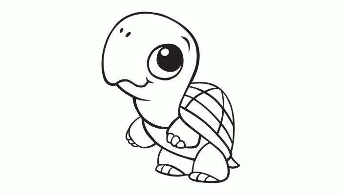 Cute Baby Animal Coloring Pictures Fun for All Ages